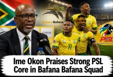 Bafana Bafana's World Cup Success