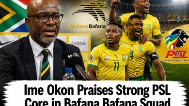 Bafana Bafana's World Cup Success