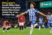 Brighton Dump Manchester United