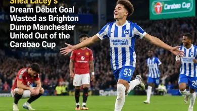 Brighton Dump Manchester United